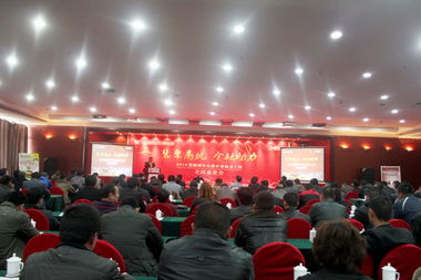 山東鼎基信息技術 專業驅動，助力臨沂企業網站建設與全網運營